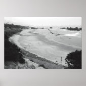 Seal Rock-Duotone Poster (Voorkant)