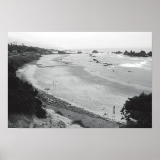 Seal Rock-Duotone Poster