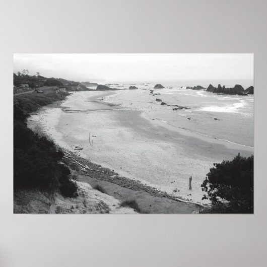 Seal Rock-Duotone Poster (Voorkant)