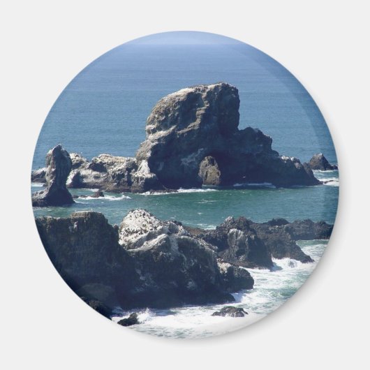 Seal Rock Ecola State Park Oregon Coast Magnet (Voorkant)