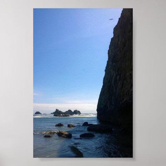 Seal Rock State Park OF Poster (Voorkant)