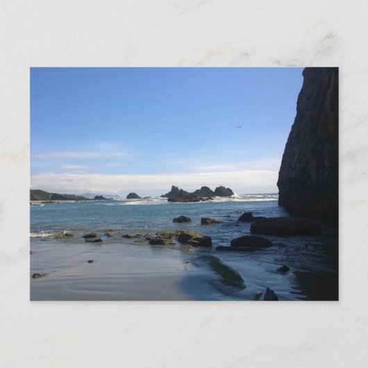 Seal Rock State Park, OR Briefkaart (Voorkant)