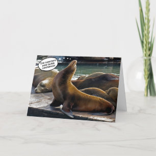 Seal Superhero Pose Kaart