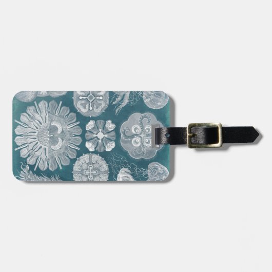 Sealife Blueprint IV Bagagelabel (Voorkant horizontaal)