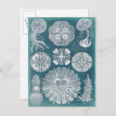 Sealife Blueprint IV Briefkaart (Voorkant / Achterkant)