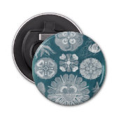 Sealife Blueprint IV Button Flesopener (Voorkant)