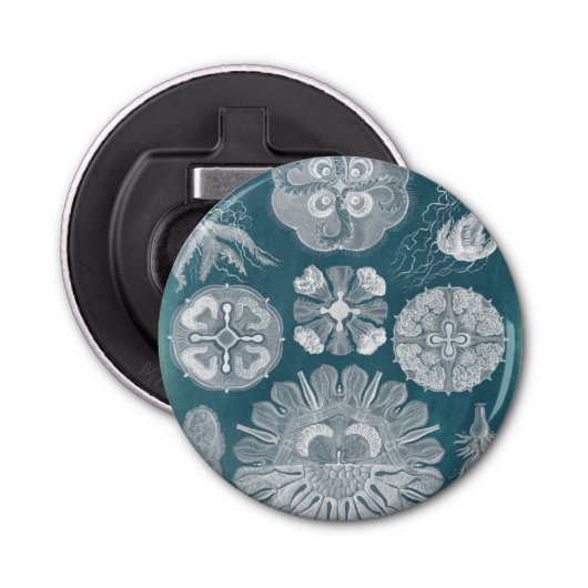 Sealife Blueprint IV Button Flesopener (Voorkant)