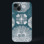 Sealife Blueprint IV iPhone 13 Hoesje<br><div class="desc">Mariene Leven</div>