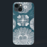Sealife Blueprint IV iPhone 13 Hoesje<br><div class="desc">Mariene Leven</div>