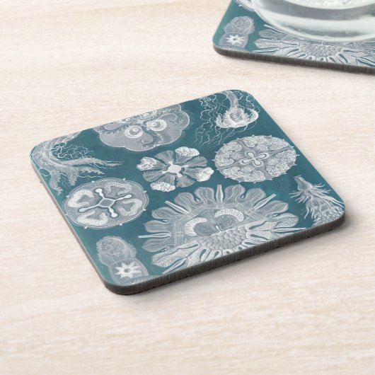 Sealife Blueprint IV Drankjes Onderzetter (Linkerzijde)