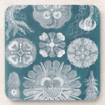 Sealife Blueprint IV Drankjes Onderzetter<br><div class="desc">Mariene Leven</div>