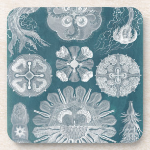 Sealife Blueprint IV Drankjes Onderzetter