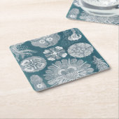 Sealife Blueprint IV Kartonnen Onderzetters (Schuin)