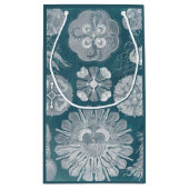 Sealife Blueprint IV Klein Cadeauzakje (Achterkant)