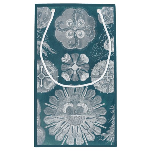 Sealife Blueprint IV Klein Cadeauzakje (Achterkant)