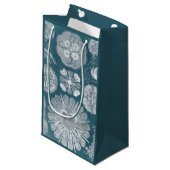 Sealife Blueprint IV Klein Cadeauzakje (Voorkant Gekanteld)