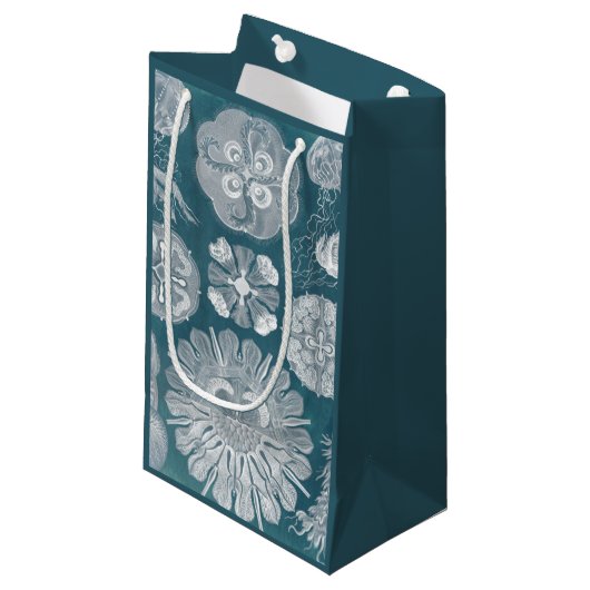 Sealife Blueprint IV Klein Cadeauzakje (Voorkant Gekanteld)