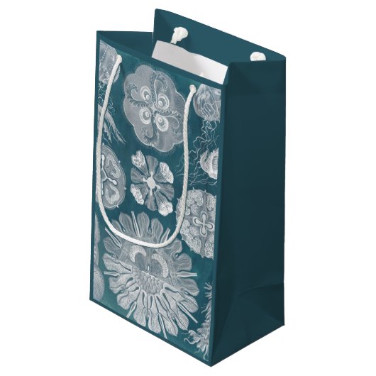 Sealife Blueprint IV Klein Cadeauzakje (Achterkant Gekanteld)