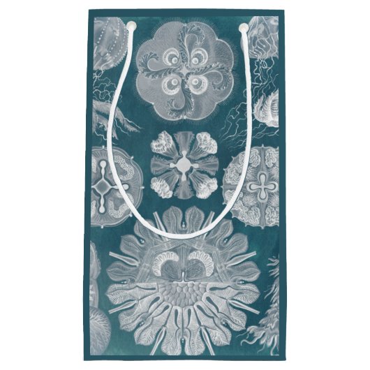 Sealife Blueprint IV Klein Cadeauzakje (Voorkant)