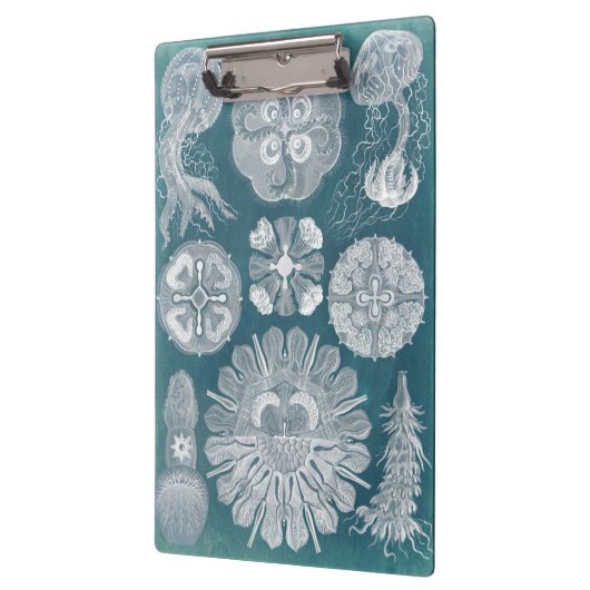Sealife Blueprint IV Klembord (Links)