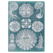 Sealife Blueprint IV Klembord (Achterkant)