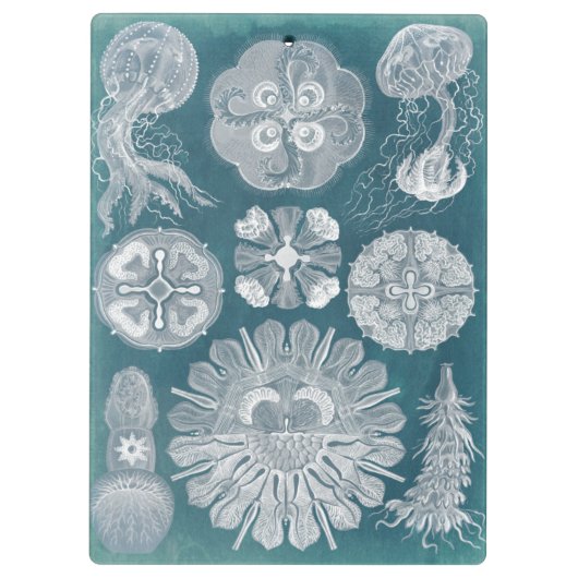 Sealife Blueprint IV Klembord (Achterkant)