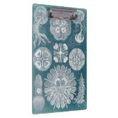 Sealife Blueprint IV Klembord (Rechts)