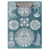 Sealife Blueprint IV Klembord (Voorkant)