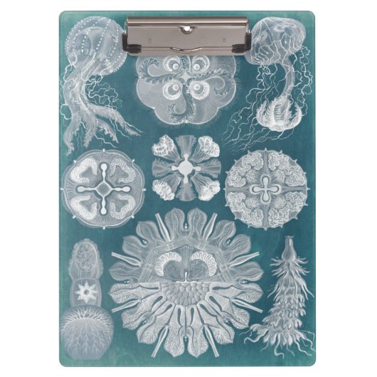 Sealife Blueprint IV Klembord (Voorkant)