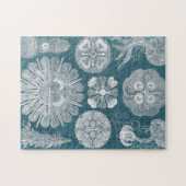 Sealife Blueprint IV Legpuzzel (Horizontaal)