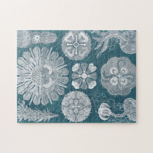 Sealife Blueprint IV Legpuzzel (Horizontaal)