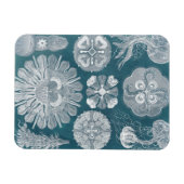 Sealife Blueprint IV Magneet (Horizontaal)