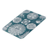 Sealife Blueprint IV Magneet (Linkerzijde)