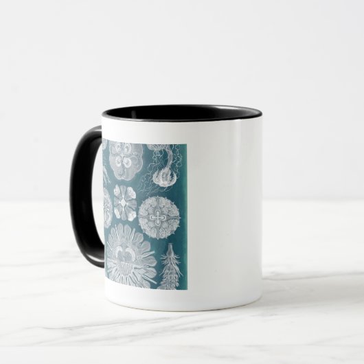 Sealife Blueprint IV Mok (Voorkant links)