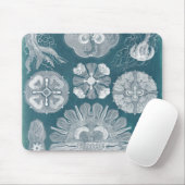 Sealife Blueprint IV Muismat (Met muis)