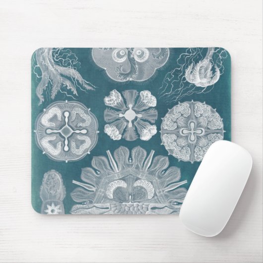 Sealife Blueprint IV Muismat (Met muis)