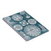 Sealife Blueprint IV Notitieboek (Rechterzijde)