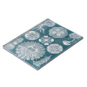 Sealife Blueprint IV Notitieboek (Linkerzijde)