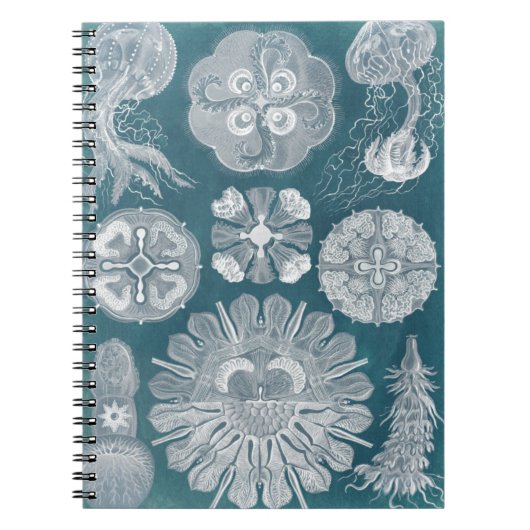 Sealife Blueprint IV Notitieboek (Voorkant)
