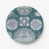 Sealife Blueprint IV Papieren Bordje (Voorkant)