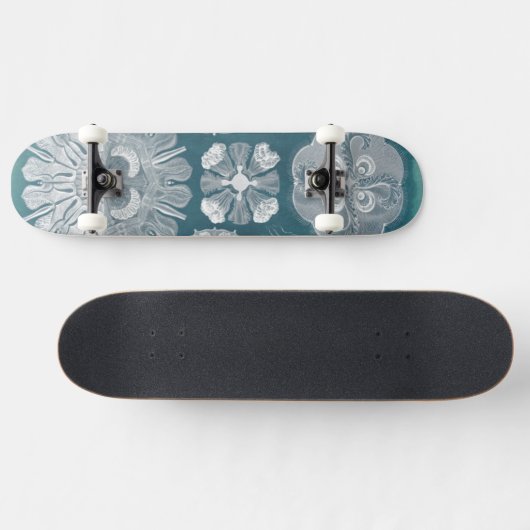 Sealife Blueprint IV Persoonlijk Skateboard (Horizontaal)