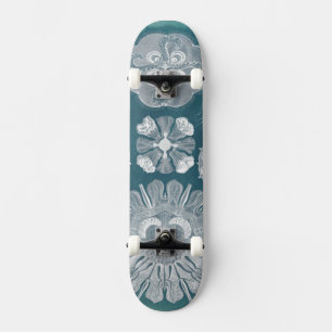 Sealife Blueprint IV Persoonlijk Skateboard