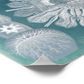 Sealife Blueprint IV Poster (Hoek)