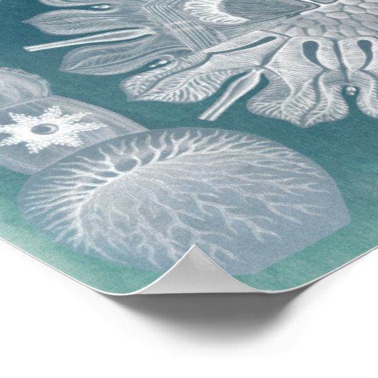 Sealife Blueprint IV Poster (Hoek)