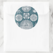 Sealife Blueprint IV Ronde Sticker (Tas)