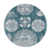 Sealife Blueprint IV Snijplank (Voorkant)