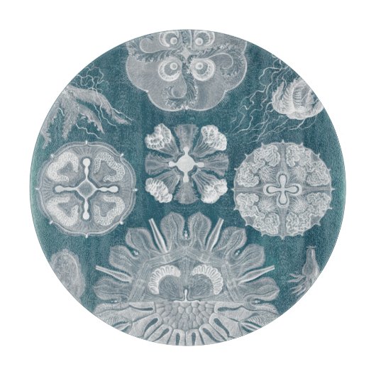 Sealife Blueprint IV Snijplank (Voorkant)