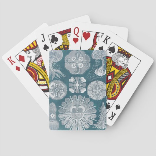 Sealife Blueprint IV Speelkaarten (Achterkant)