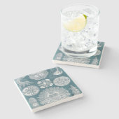 Sealife Blueprint IV Stenen Onderzetter (Zijkant)