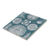 Sealife Blueprint IV Tegeltje (Zijkant)